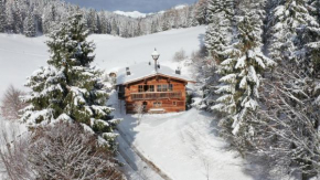 Luxury old wood mountain chalet in a sunny secluded location with gym, sauna & whirlpool